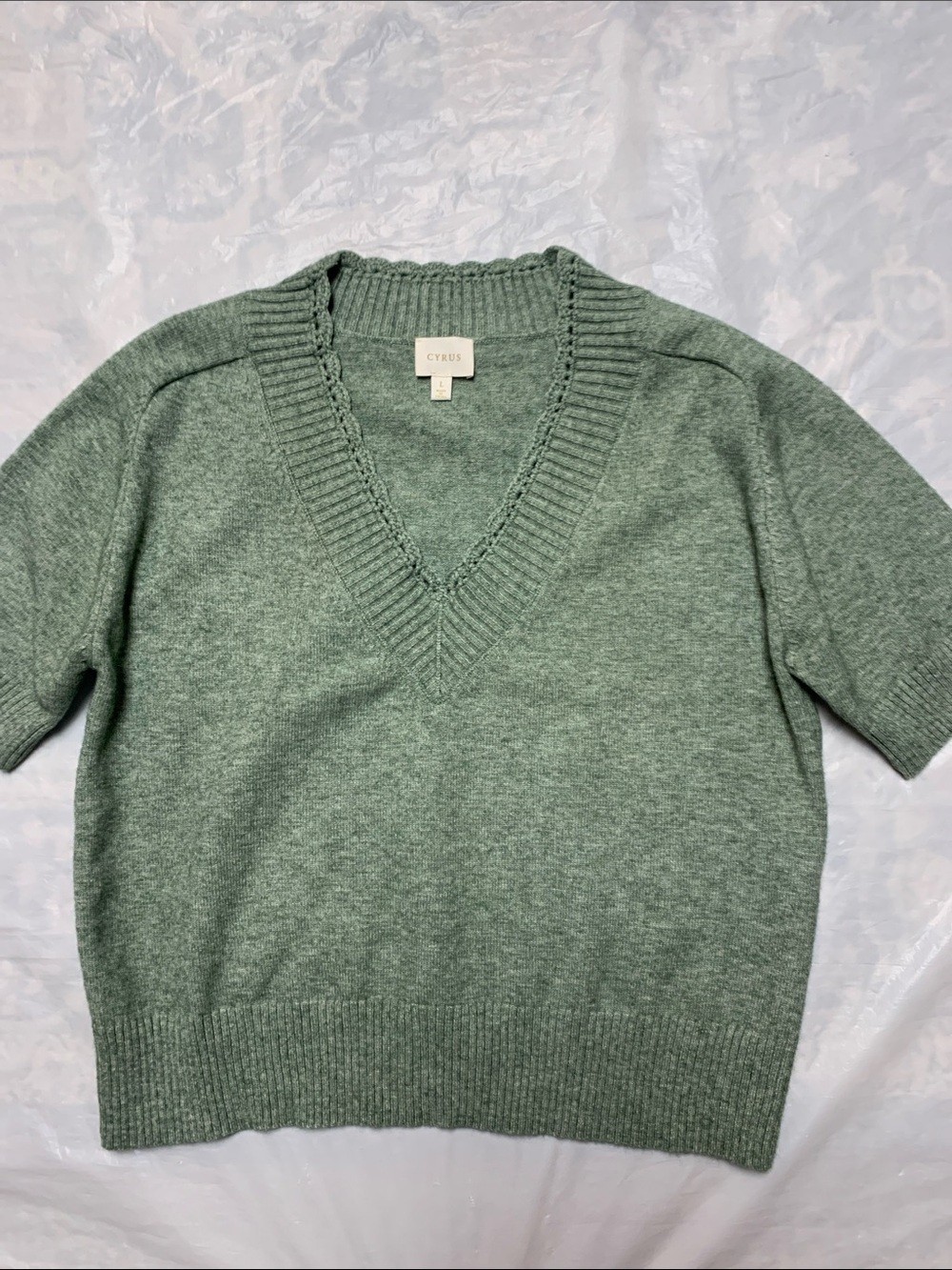 Cyrus Sage Green V Neck Short Sleeve Sweater Minimalist NWOT Size L